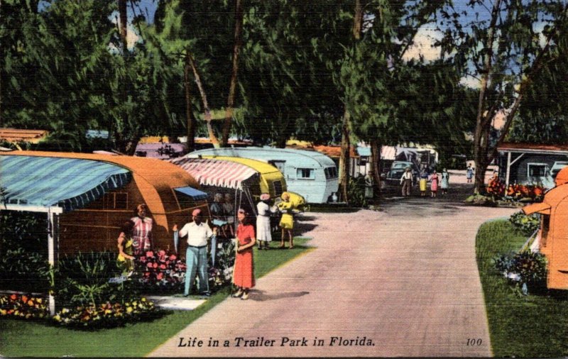 Florida Life In A Trailer Park