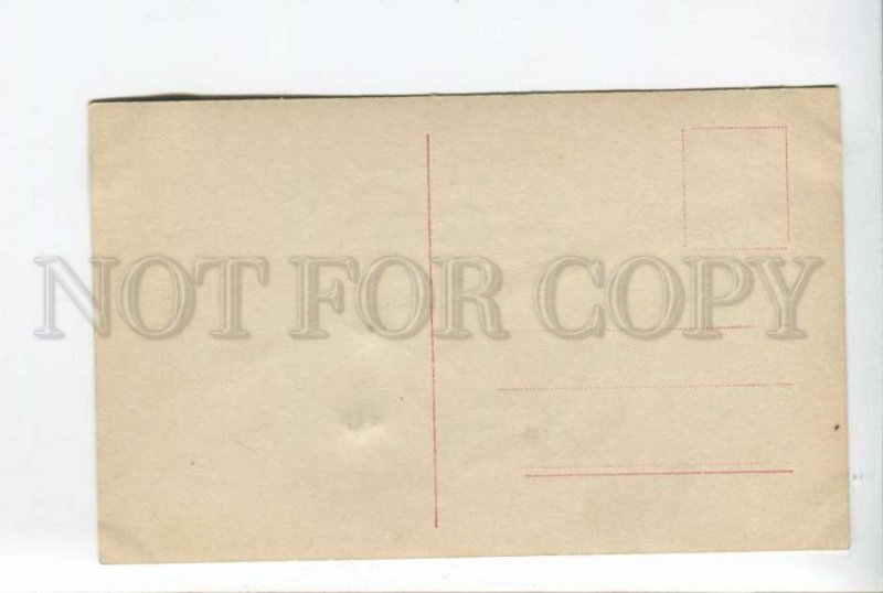 424180 White HORSE Vintage tinted postcard