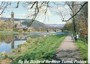 Scotland Postcard - By The Banks of The River Tweed - Peeblesshire - Ref 14586A