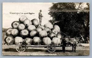 EXAGGERATED APPLES LOAD 1910 ANTIQUE REAL PHOTO POSTCARD RPPC COLLAGE CANADA