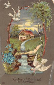A095 Name Day Greetings 1911 Cottage Dove caring shamrock forget-me-not postcard
