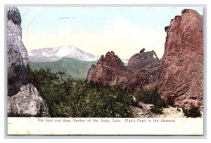 The Seal & Bear Garden Of The Gods Colo. Postcard Pikes Peak In The Distance