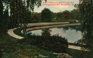 Vintage Postcard 1910's Scenery at Chestnut Hill Showing Reservoir Brookline MA