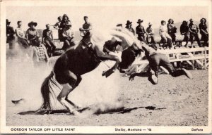 Rodeo Cowboy Gordon Taylor Thrown Off Little Paint, Shelby MT c1946 Postcard T52