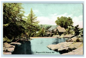 c1910's View Of Pollards Mill Cottage Newport New Hampshire NH Antique Postcard 