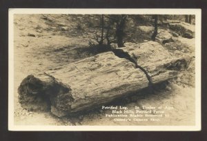 RPPC BLACK HILLS SOUTH DAKOTA SD PETRIFIED LOG VINTAGE REAL PHOTO POSTCARD