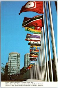 Postcard United Nations Member States Flags NYC New York USA North America