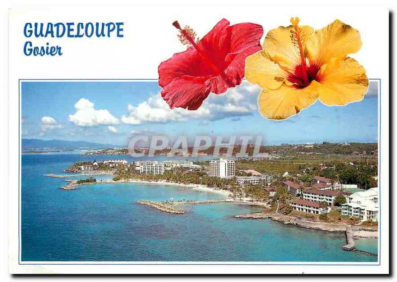 Modern Postcard Guadaloupe Gosier Grand Terre