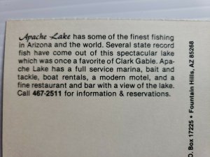 Vintage Postcard Apache Lake Arizona 1988 marina motel restaurant unposted