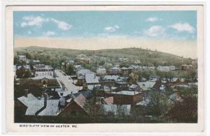 Panorama Dexter Maine 1920c postcard