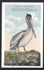 PELICAN Greetings from Jacksonville FL unused c1920's