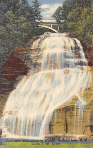 Chequagah Falls Watkins Glen State Park - Watkins Glen, New York NY  