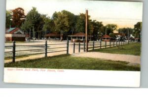 New Haven CT Savin Rock Park c1910 Postcard