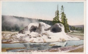 Grotto Geyser Yellowstone National Park Detroit Publishing