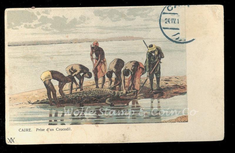 1910 Postcard Six Men Capturing a Crocodile Cairo Egypt  B1489