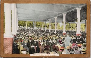 Typical Willow Grove Audience Willow Grove Park PA Unused Postcard G86