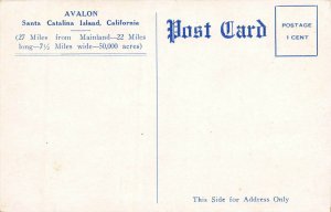 What We Saw in Catalina, Catalina Island, California, Early Postcard, Unused  