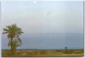 M-80586 The Dead Sea Jericho Palestine