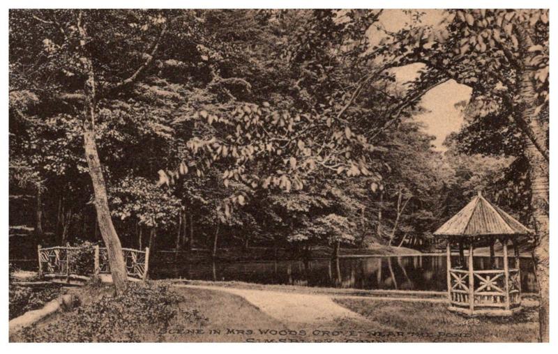 Connecticut  Simsbury , Mrs Woods Grove near the Pond