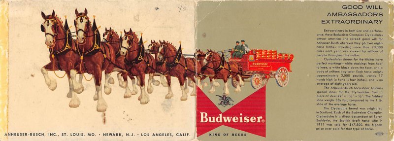 Clydesdales used by Budweiser, large double Budweiser Brewery Unused 