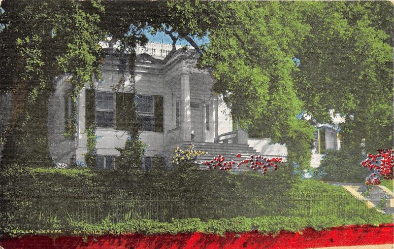 Natchez Mississippi~Green Leaves House~Lush Landscaping in Front~1940s Postcard