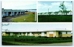 CHARLOTTETOWN, PEI, Canada ~ Roadside SOUTHPORT MOTEL & Cottages c1950s Postcard