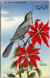 Florida Mocking Bird Poinsettia Orange Blossoms State Flower Florida Postcard