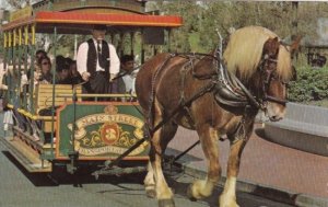 Horse Drawn Streetcar Walt Disney World Orlando Florida