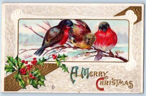 Christmas Postcard Song Birds Holly Berries Embossed Clay Center NE 1911 Antique