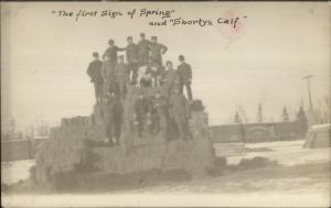 Men & Cow on Hay Stack Logging Camp Canadian Northern RR Train Car c1910 RPPC