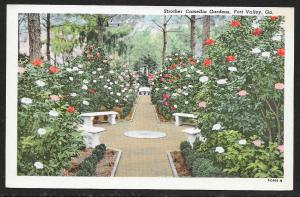 Strother Camellia Gardens Fort Valley Georgia Unused c1953