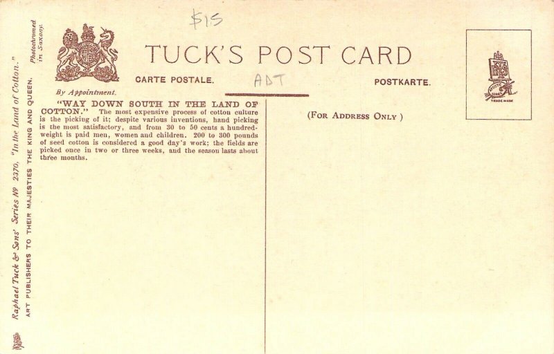 Black Americana, Tuck Publ, ....In the Land of  Cotton, Old Postcard 