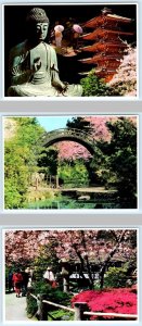 3 Postcards SAN FRANCISCO, California CA ~ JAPANESE TEA GARDEN Buddha 4x6