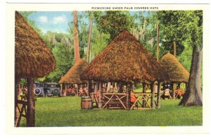 Picnicking Under Palm Covered Huts, Silver Springs, Florida, Images on Paper