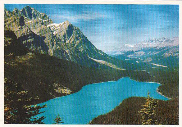 Canada Peyto Lake Banff National Park Alberta