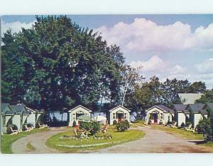 Unused Pre-1980 COTTAGES AT RIVERSIDE MOTEL Fredericton New Brunswick NB F7298