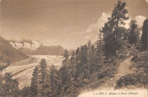 US3480 A Glacier et Foret d'Aletsch Forest Landscape switzerland