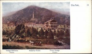 Elka Park New York NY Tower & Cottages Catskills c1900 Private Mailing Card