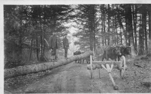 RPPC MEN & OXEN LUMBER LOGGING REAL PHOTO POSTCARD (c. 1910) !! 