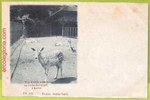 af4466 - BELGIUM Belgique - Carte Postal Ancienne VINTAGE POSTCARD - Anverse-