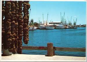 Postcard FL - Shrimp Fleet and Sponges at Tarpon Springs