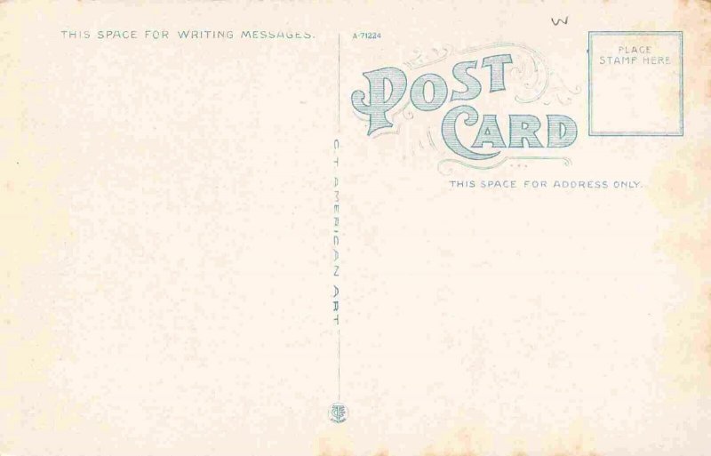 Panorama Downtown Montgomery Alabama 1920s postcard