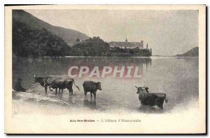 Old Postcard Aix les Bain Hautecombe Abbey Cows