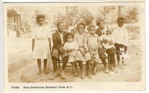 Black Americana Ripe Dewberries Southern Pines NC Real Photo RPPC  Postcard