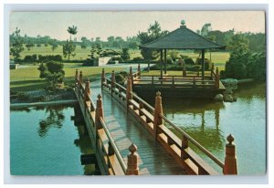 Vintage Japanese Gardens Postcard P222E