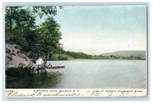 c1905 A View Of Electric Lake Boat Oneonta New York NY Posted Antique Postcard