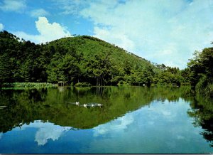 Japan Kyoto Kyoyochi Pond Known As Mandarin Duck Pond