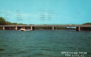 Greetings From Fox Lake Illinois Speed Boating On Chain Of Lake Vintage Postcard