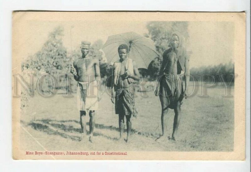 438897 SOUTH AFRICA Johannesburg Mine boys Shangaans Vintage postcard