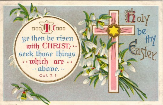 Snowdrop Galianthus Flowers Easter Greeting Vintage Postcard